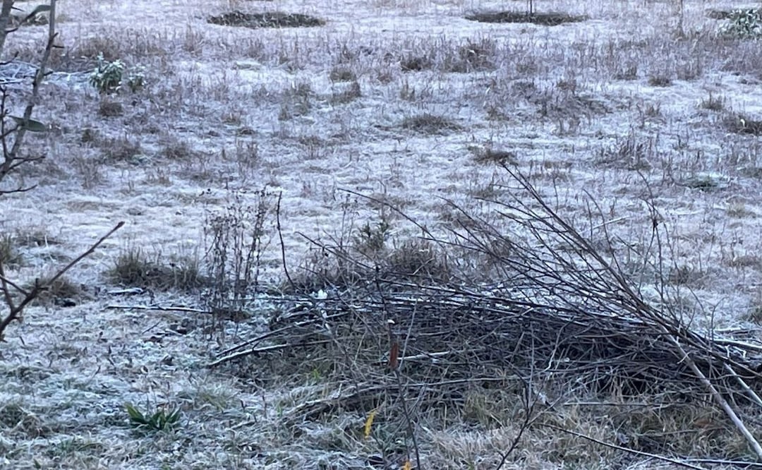 Áreas dedicadas al cultivo en municipios poblanos amanecieron cubiertas de escarcha | FOTO: Agencia Es Imagen para El Universal Puebla