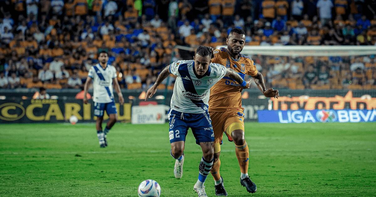 Tigres vs Club Puebla: Dónde ver EN VIVO el partido de la J2 por la ...