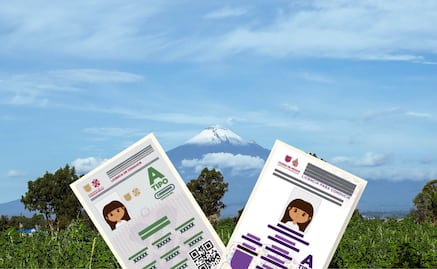 ¿La licencia de conducir permanente de la CDMX es válida en Puebla?