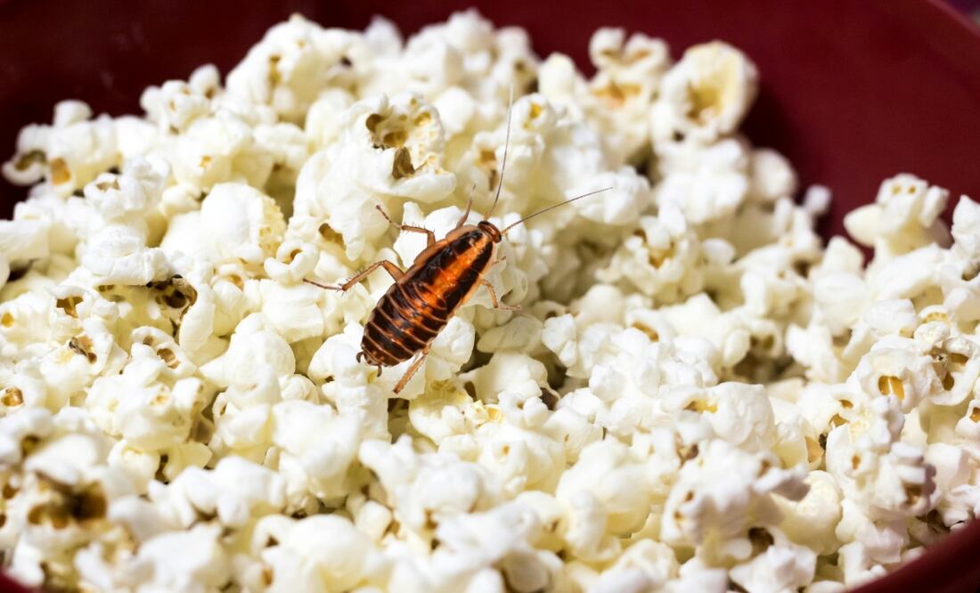 Palomitas con cucaracha en el partido de Puebla vs Cruz Azul | Foto: Producción El Universal