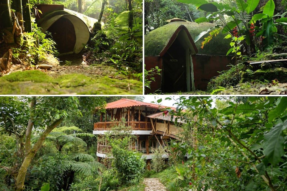 Estas cabañas parecen sacadas de la película El Señor de los Anillos | Foto: Cabañas Tosepan Kali