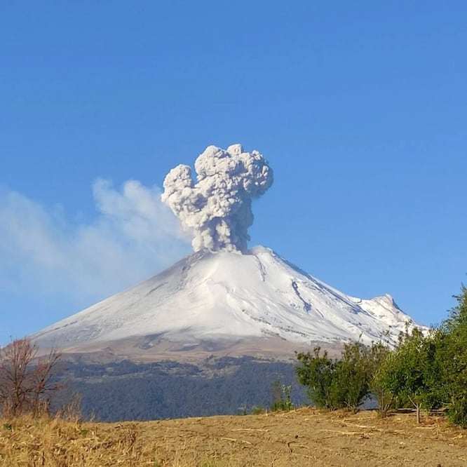 El Rinconcito es un proyecto ecoturístico cerca del volcán Popocatépetl | Facebook El Rinconcito