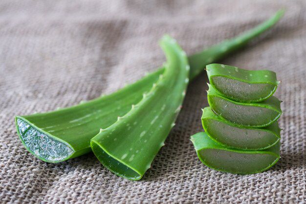 Desvelando los secretos de la crema de Aloe Vera. Fuente: Freepik.