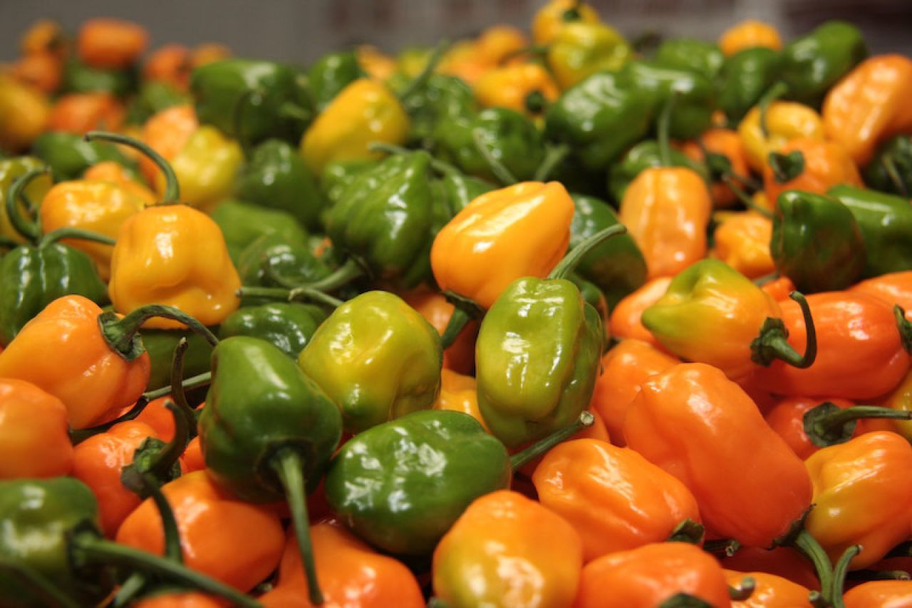 ¿Cuáles son los chiles más picantes y por qué pican?