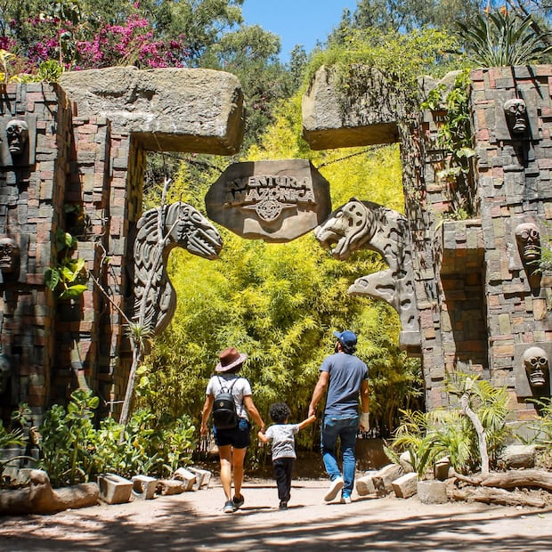 Foto: Facebook Africam Safari