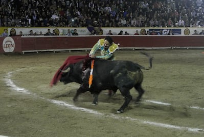 Ahora suspenden corrida de toros en Ixtacamaxtitlán