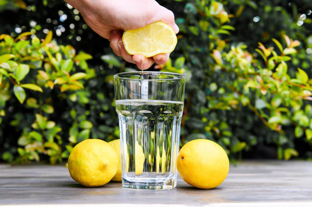 Con esta receta sencilla, tendrás un limpiador efectivo, natural y seguro para mantener tu hogar limpio y libre de productos químicos agresivos.

Foto: Producción El Universal Puebla