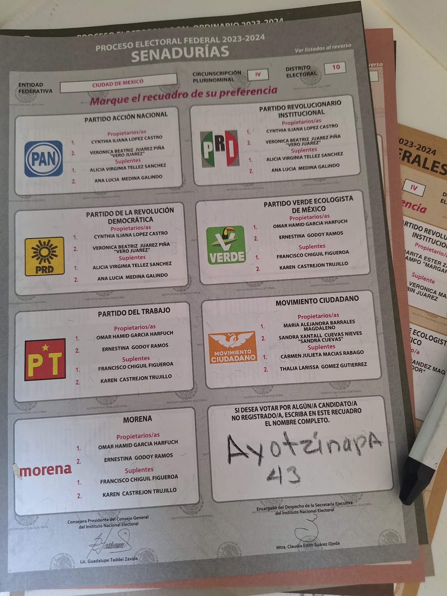 Las elecciones del 2024 fueron el pretexto perfecto para expresarse libremente| Foto: Canvas/ Redes Sociales
