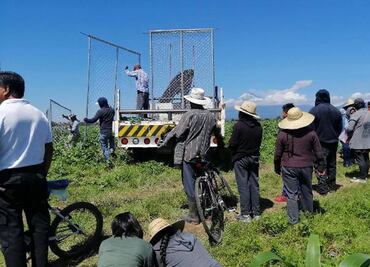 Ejidatarios inconformes retiran cerco del socavón de Zacatepec