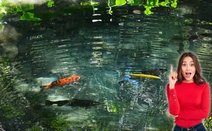 Este es el manantial oculto de la Ex Hacienda de Chautla