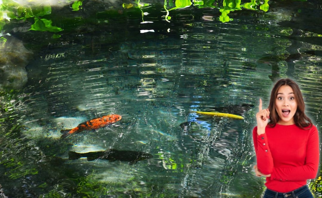 Visita los manantiales de la Ex Hacienda de Chautla | Foto: Facebook Ex-Hacienda de Chautla Puebla