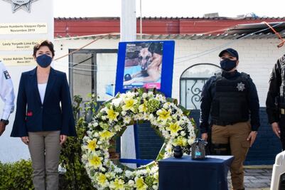 Heroína: despiden a Hanna, perrita especializada en rescate de personas