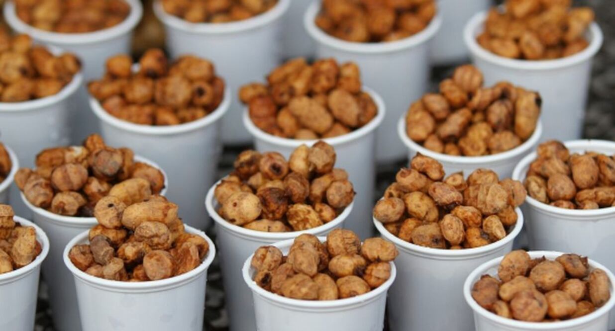 Conoce la chufa, ingrediente principal de la horchata valenciana | Foto: El Universal