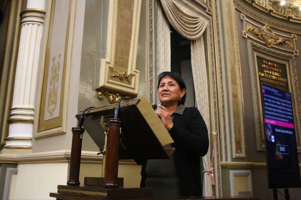 Diputados locales propusieron regular los hoteles para mascotas | Fotos Congreso del Estado de Puebla