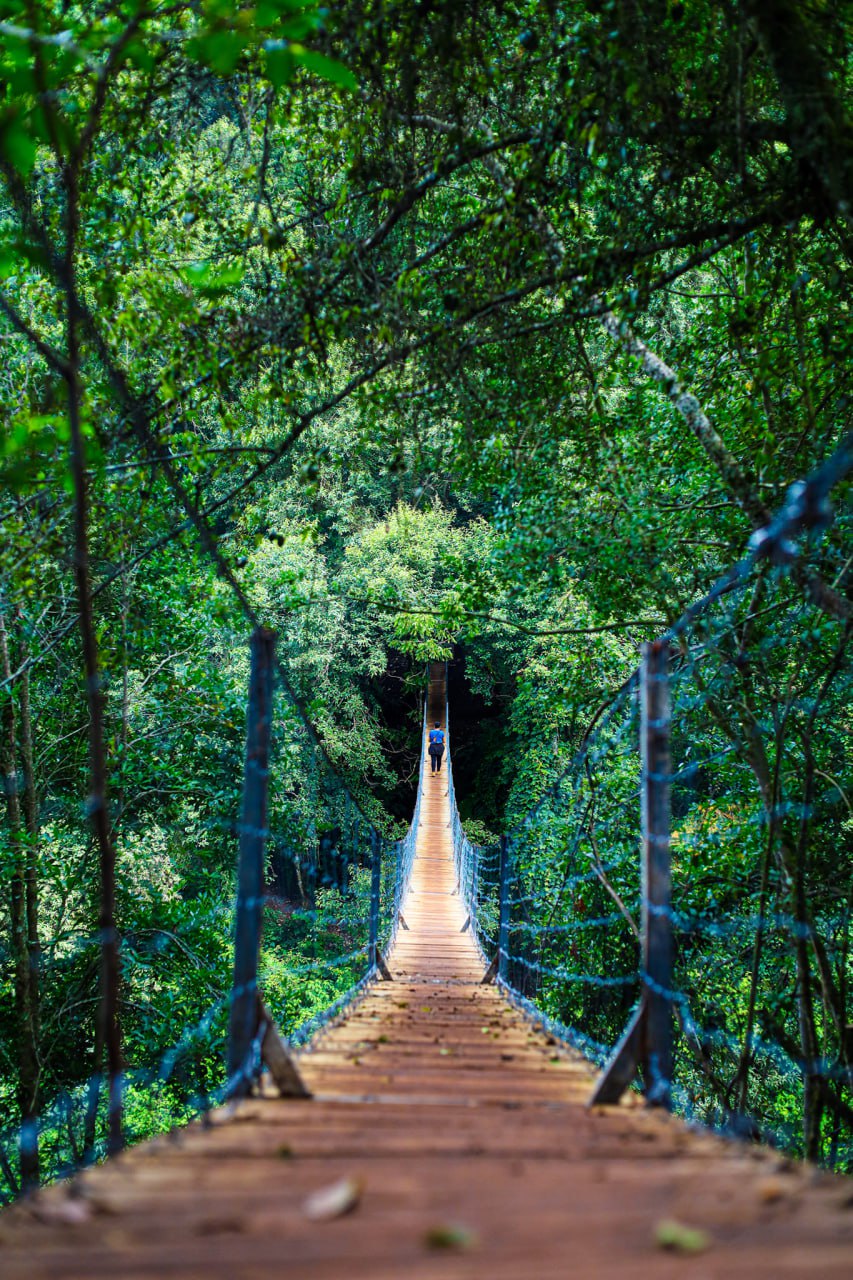 Foto: Cascadas dos Mundos Huetziatl