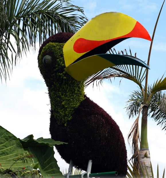 Foto: Jardín Mágico