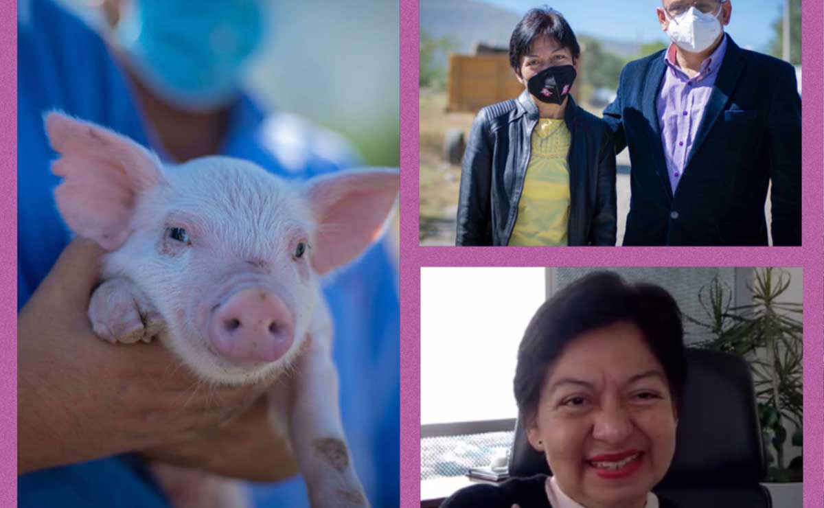 Destaca Lilia Cedillo logros de la Facultad de Medicina Veterinaria y Zootecnia