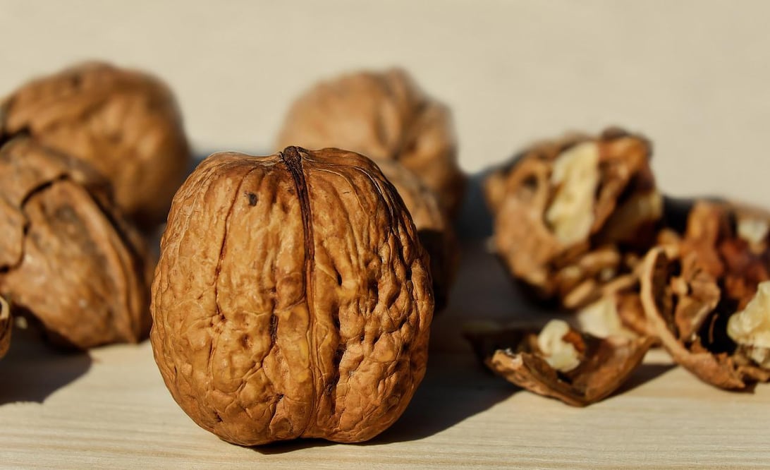 Las nueces de Castilla son un ingrediente indispensable de los chiles en nogada. Foto: Pixabay