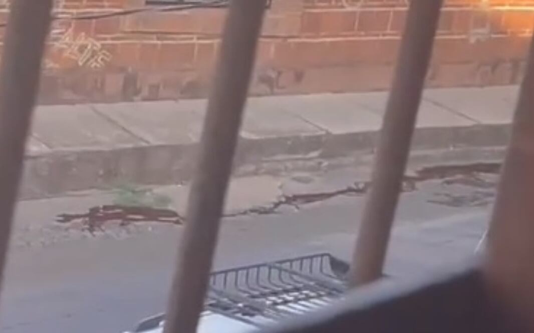 Autoridades confirmaron a EL UNIVERSAL que videos corresponden a los hechos donde habrían sido fusiladas 17 personas Foto: Captura de video