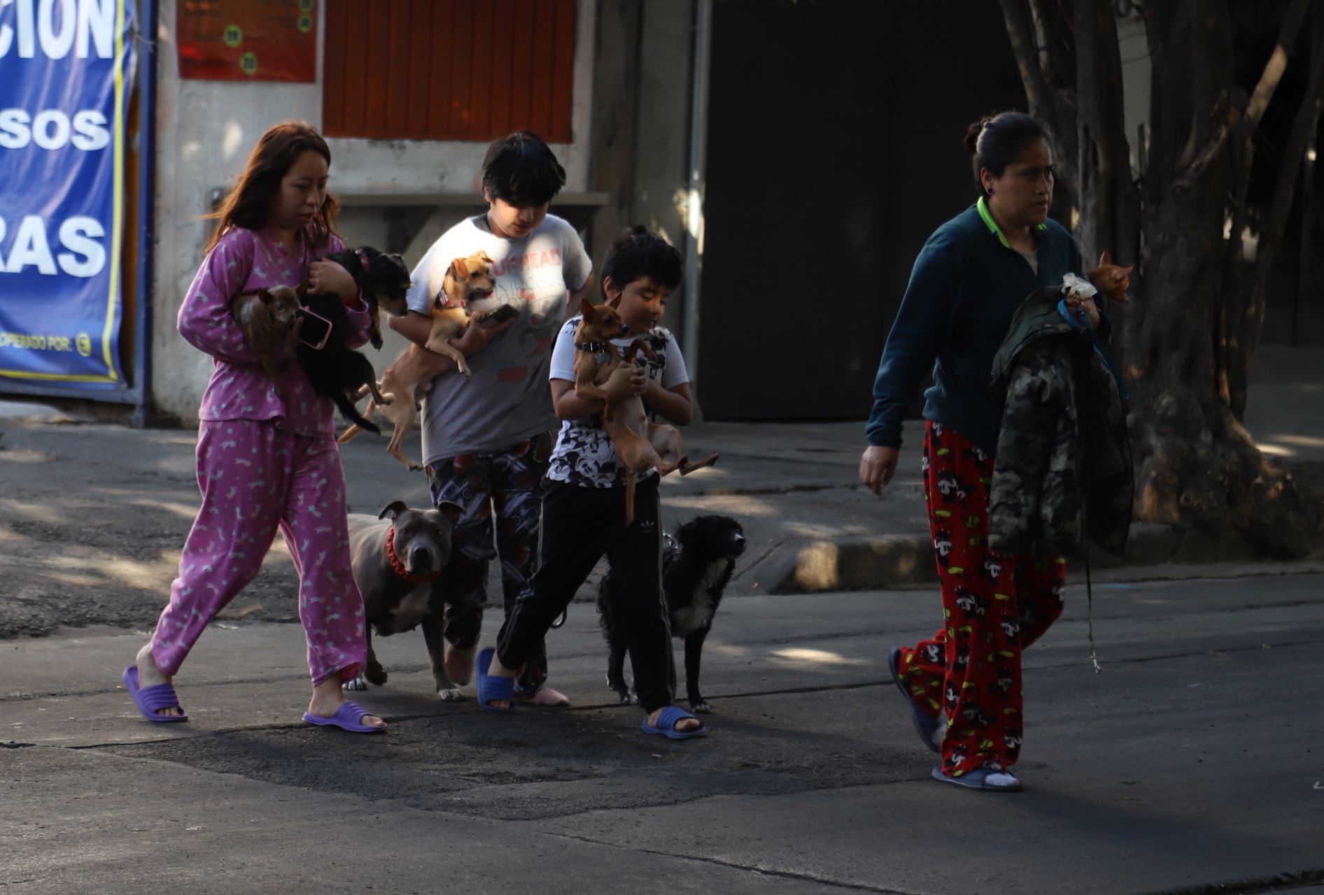 Cómo funciona la Alerta Sísmica y qué aplicaciones móviles te avisan de un temblor