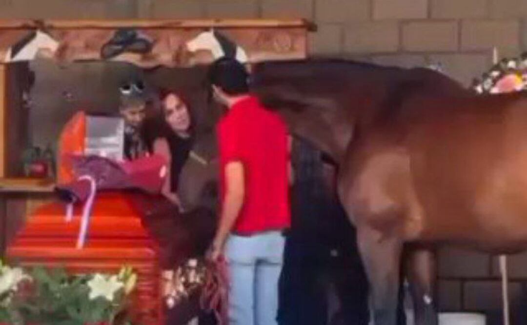 Los caballos de Cuacolandia pudieron despedirse de Elena Larrea | Foto: Video redes sociales