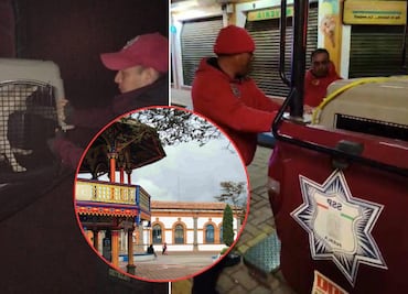 Retiran perros callejeros en Chignahuapan por "mala imagen", se desconoce su paradero