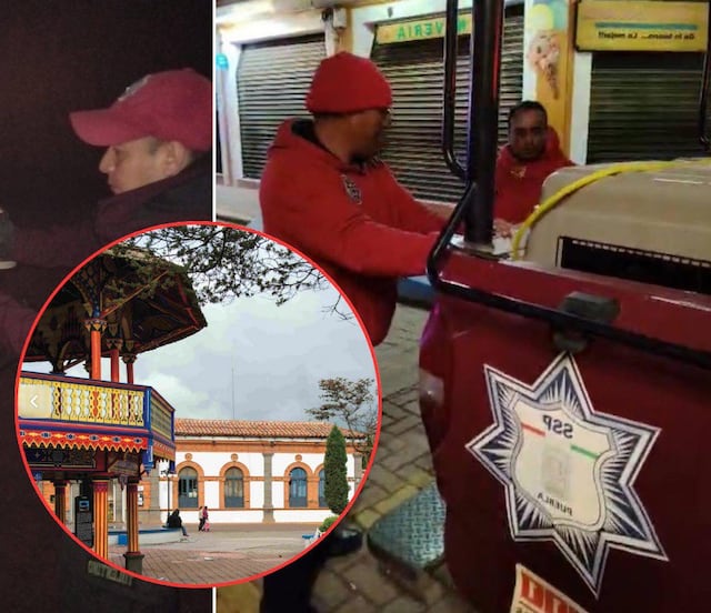 Retiran perros callejeros en Chignahuapan por "mala imagen", se desconoce su paradero