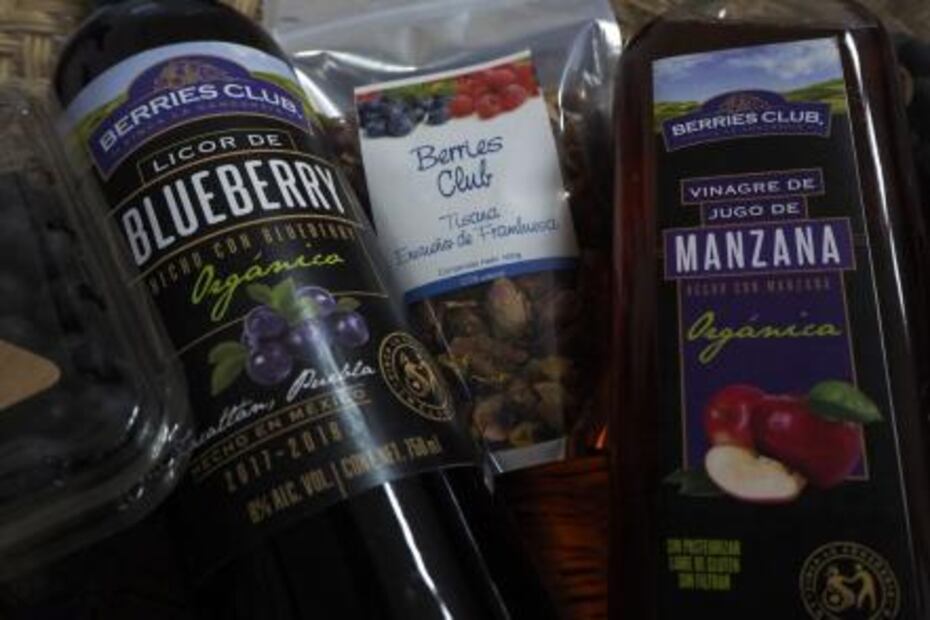 La Concordia, la finca poblana del blueberry premiada en el Tianguis Turístico 