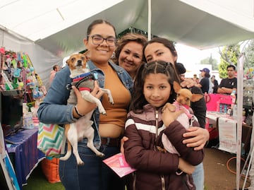 Qué obligaciones tendrás si registras a tu lomito o michi en una familia multiespecie en Puebla
