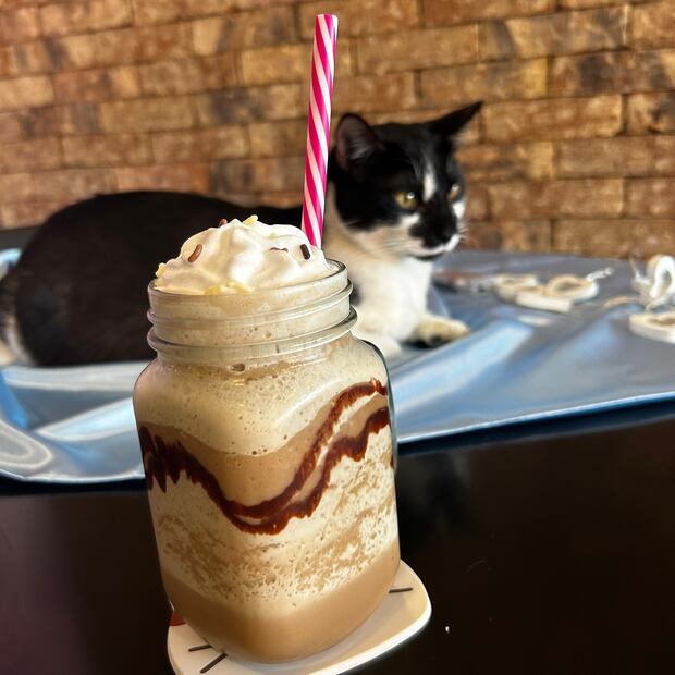 En este sitio podrás conocer al próximo compañero de vida