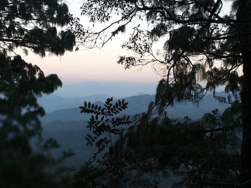 Foto: FB Bosque de Niebla