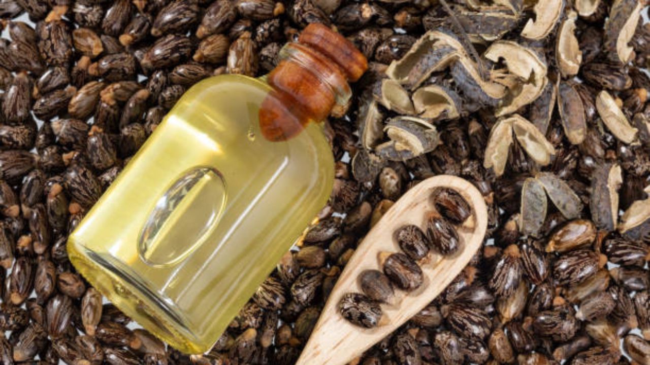 El aceite de ricino es fundamental para el crecimiento de las pestañas. Fuente: iStock,