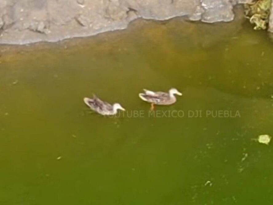 Imagen: Youtube México DJI Puebla