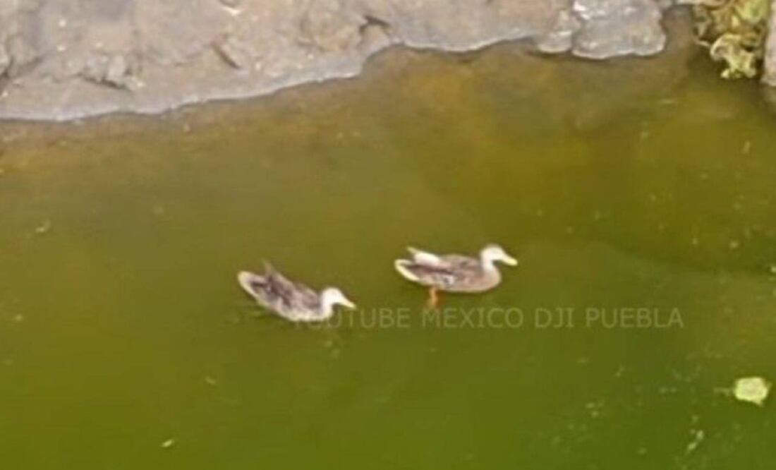 Imagen: Youtube México DJI Puebla