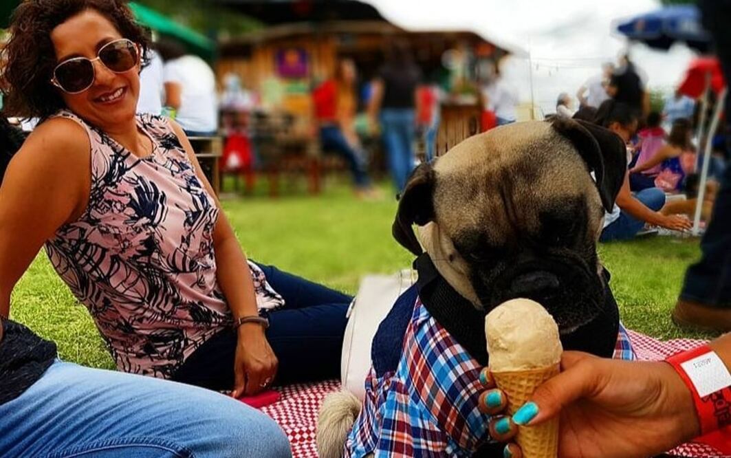 Habrá diferentes actividades para las mascotas y sus dueños. Foto: Perrogato Fest
