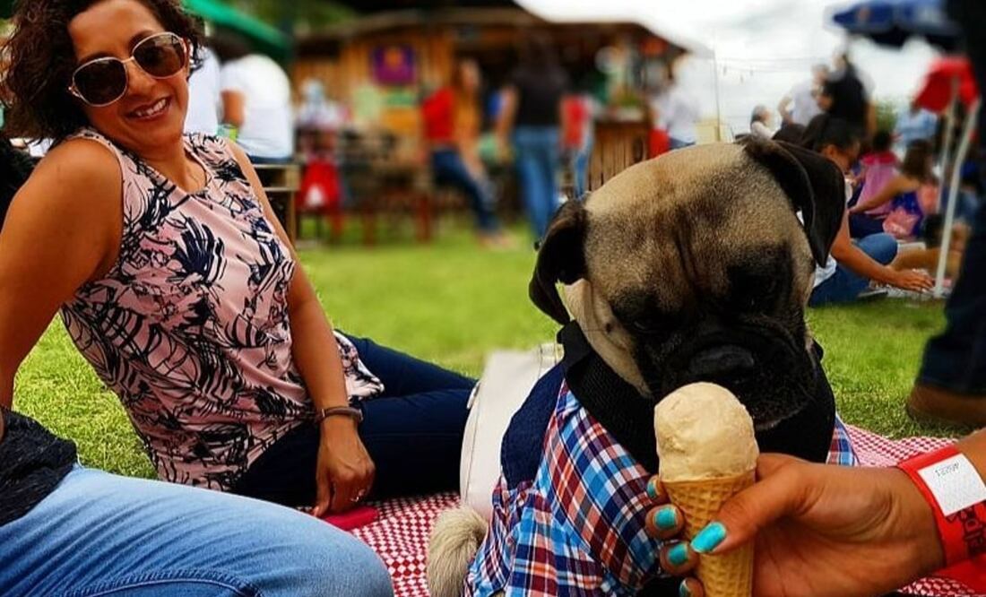 Habrá diferentes actividades para las mascotas y sus dueños. Foto: Perrogato Fest