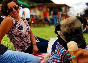 Organizan el Perrogato Fest en Cholula