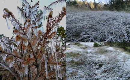 Heladas en Puebla: ¿Qué municipios han sido afectados por el frío?
