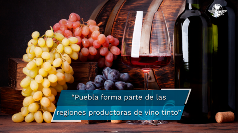 Economía. Puebla dentro de las cinco nuevas regiones productoras de vino