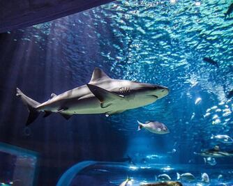 Lugares para visitar en familia esta Semana Santa en Puebla