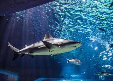 Lugares para visitar en familia esta Semana Santa en Puebla