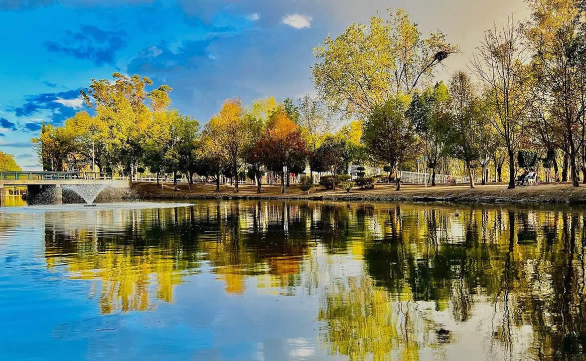 Festival Tecate Comuna. ¿Por qué no quieren que se haga en el Parque Ecológico?