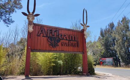 Cinco cosas que tal vez no conocías de Africam Safari