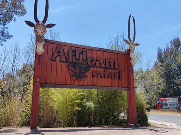 Por un zarpazo de tigre, así murió el fundador de Africam Safari