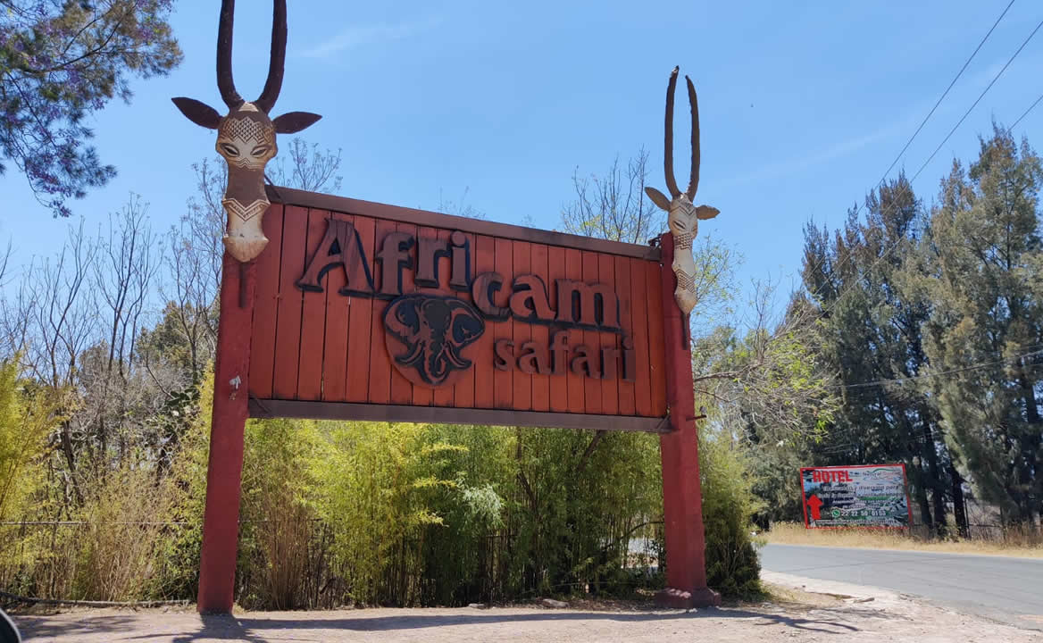 Cinco cosas que tal vez no conocías de Africam Safari