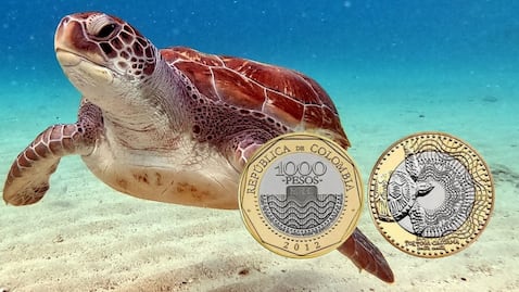 La hermosa caguama de 1,000 pesos que compite con el billete del ajolote