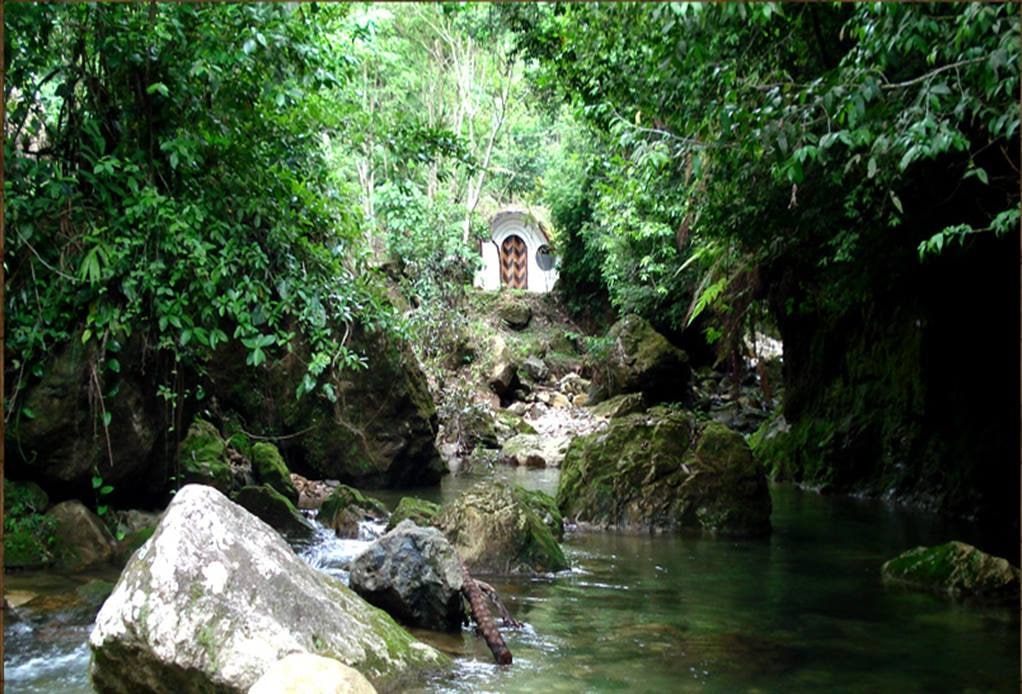 Estas cabañas parecen sacadas de la película El Señor de los Anillos | Foto: Cabañas Tosepan Kali