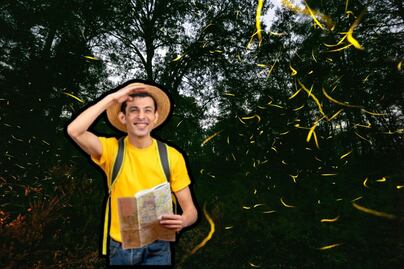 Dónde ver luciérnagas en Puebla este verano