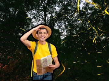 Dónde ver luciérnagas en Puebla este verano