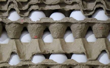 Prevén estabilización del precio del huevo a finales de marzo